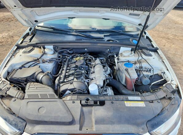 WAUBFAFL1GN011484 2016 AUDI A4 Белый Вид задней части салона
