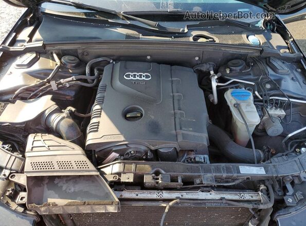 WAUBFAFL3GN012099 2016 AUDI A4 Black Սալոնի հետևի տեսք