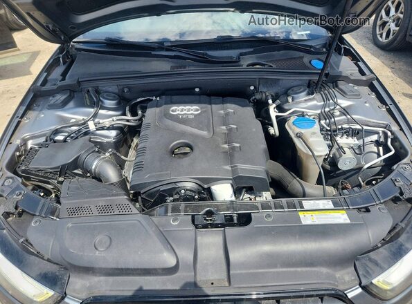 WAUBFAFL4GA013043 2016 AUDI A4 Gray Widok wnętrza z tyłu