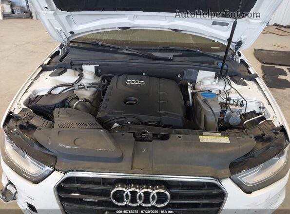 WAUBFAFL7GN018262 2016 AUDI A4 White Հետևի տեսք