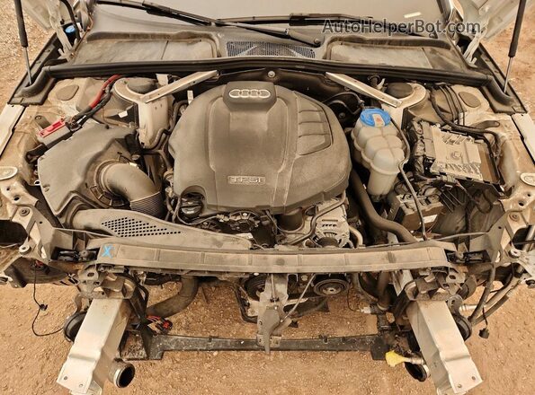 WAUBNAF45KN006650 2019 AUDI A4 White Vista interior trasera