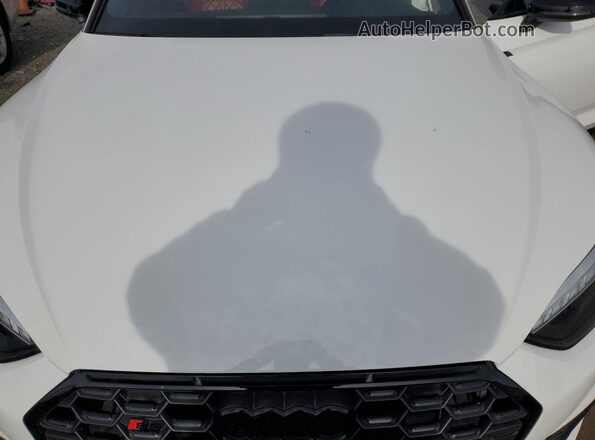WAUC4CF52LA020042 2020 AUDI S5 White Սալոնի հետևի տեսք