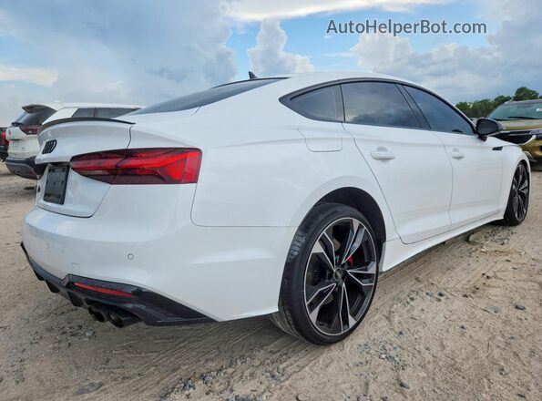 WAUC4CF56RA032817 2024 AUDI S5 White Tył prawy