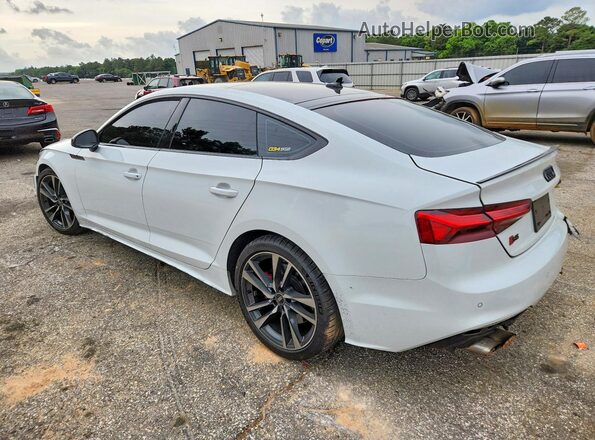 WAUC4CF59NA014774 2022 AUDI S5 White Tył lewy
