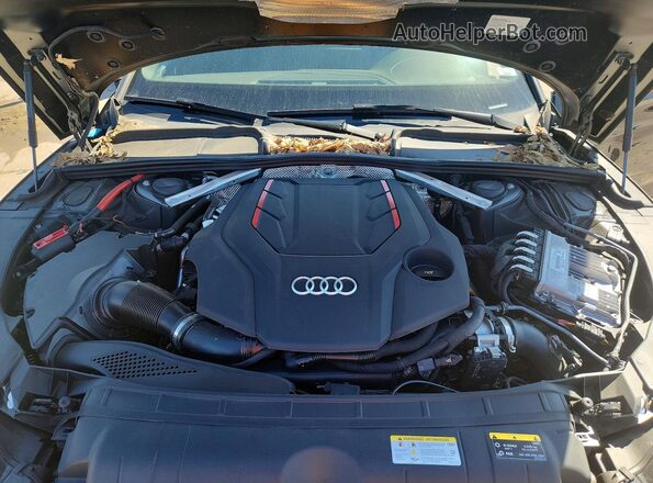 WAUC4CF5XPA006735 2023 AUDI S5 Black Սալոնի հետևի տեսք