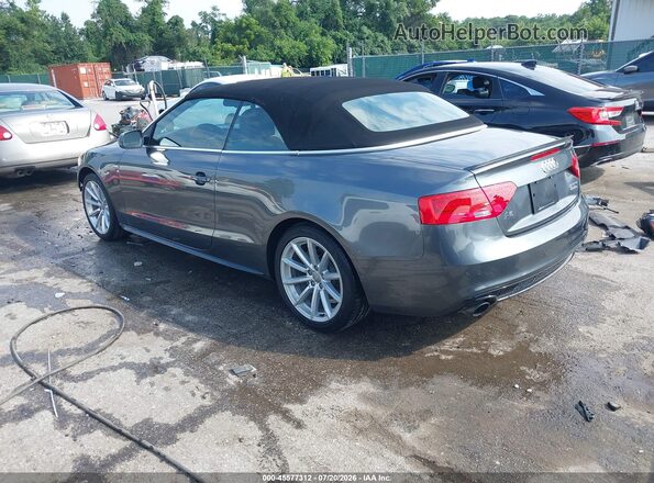 WAUD2AFH4HN002859 2017 AUDI OTHER Gray Trasero izquierdo