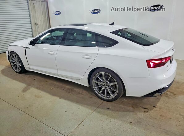 WAUDACF57SA008822 2025 AUDI A5 White Հետևի ձախ