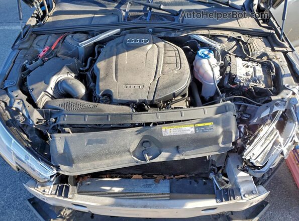 WAUDNAF49JA124893 2018 AUDI A4 Gray Սալոնի հետևի տեսք