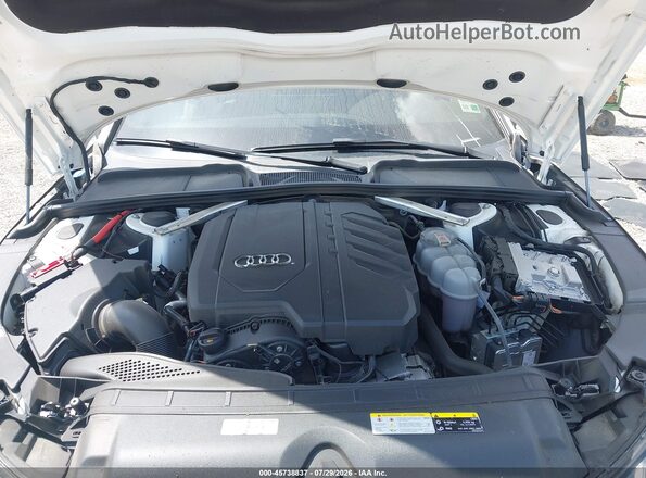 WAUEAAF44PA035175 2023 AUDI A4 White Вид ззаду