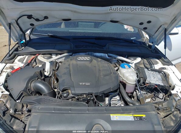 WAUENAF47HN043849 2017 AUDI A4 White Հետևի տեսք