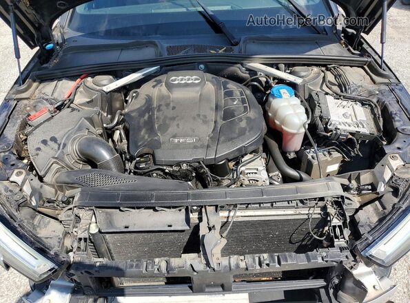 WAUENAF47HN071568 2017 AUDI A4 Blue Սալոնի հետևի տեսք
