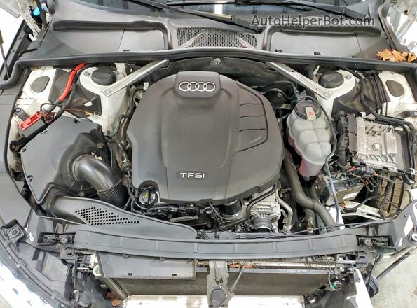 WAUENAF48LN005460 2020 AUDI A4 White Սալոնի հետևի տեսք