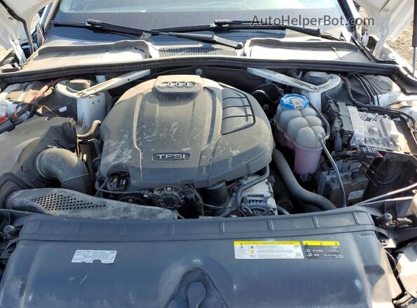WAUENAF4XKN001554 2019 AUDI A4 White Widok wnętrza z tyłu