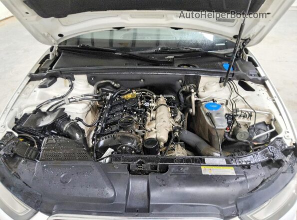 WAUFFAFL2GN007185 2016 AUDI A4 White Սալոնի հետևի տեսք