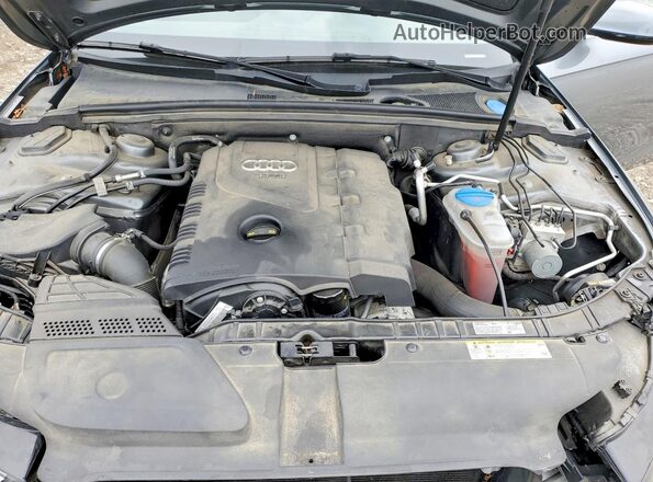 WAUFFAFL5GN010792 2016 AUDI A4 Gray Vista interior trasera