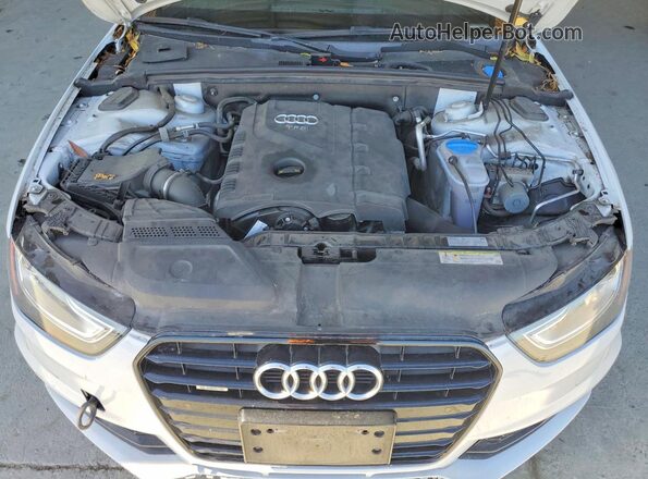 WAUFFAFL8GN004324 2016 AUDI A4 White Вид задньої частини салону