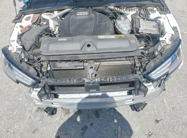 WAUGMAF41KN016942 2019 AUDI A4 Белый Вид задней части салона
