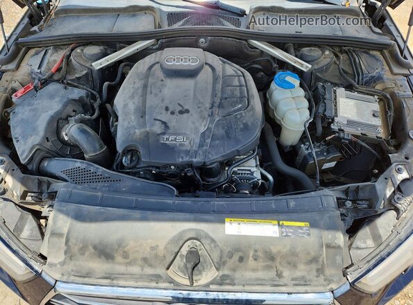WAUGMAF46HA177142 2017 AUDI A4 Blue Սալոնի հետևի տեսք