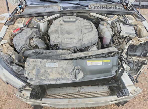 WAUGMAF47KA113795 2019 AUDI A4 White უკანა სალონის ხედი