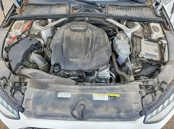 WAUHMAF41LA073252 2020 AUDI A4 White Սալոնի հետևի տեսք