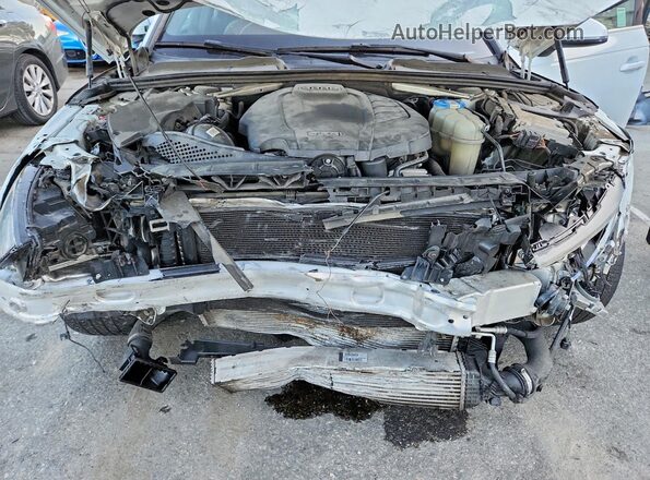 WAULMAF46JN004573 2018 AUDI A4 White Սալոնի հետևի տեսք