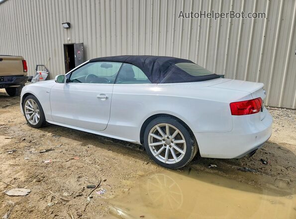 WAUM2AFH0GN004395 2016 AUDI A5 White Задня ліва чверть