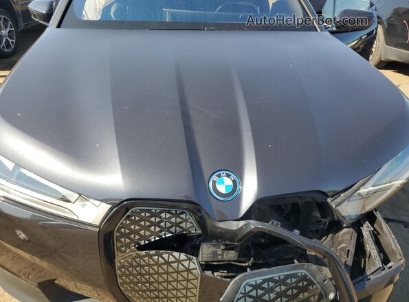 WB523CF01RCN79774 2024 BMW IX Угольный Вид подкапотного пространства