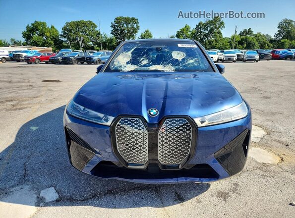 WB533CF05PCK57916 2023 BMW IX Blue Widok z przodu