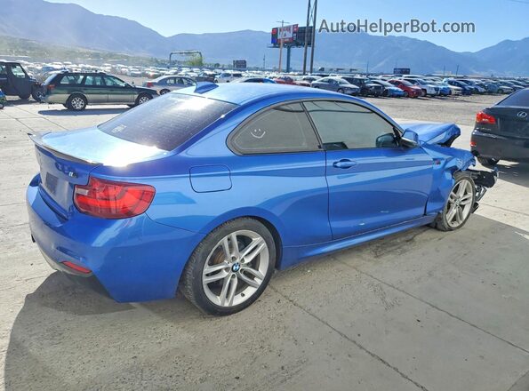 WBA1F5C51GV343899 2016 BMW 2 SERIES Blue Tył prawy