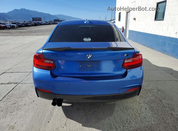 WBA1F5C51GV343899 2016 BMW 2 SERIES Blue Widok z tyłu