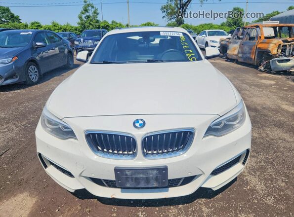 WBA1G9C50GV726575 2016 BMW 2 SERIES White Widok z przodu