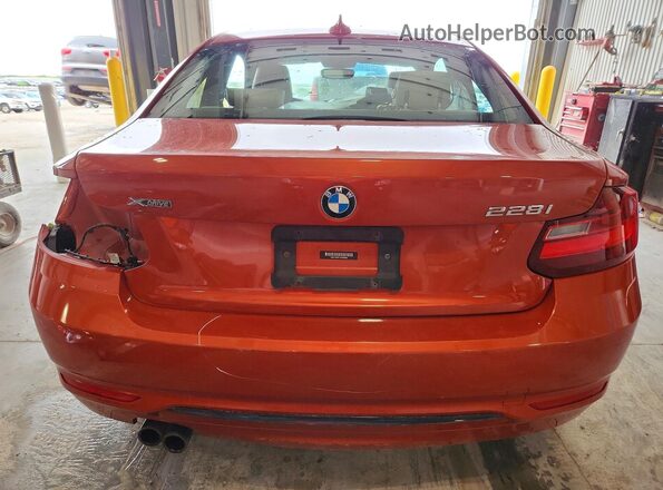 WBA1G9C51GV599366 2016 BMW 2 SERIES Orange უკანა ხედი