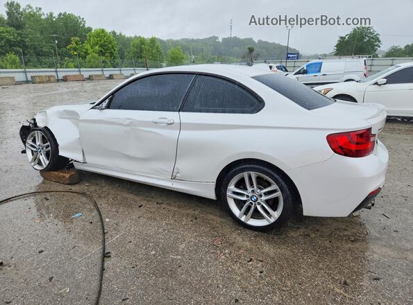 WBA1G9C51GV727041 2016 BMW 2 SERIES White Հետևի ձախ