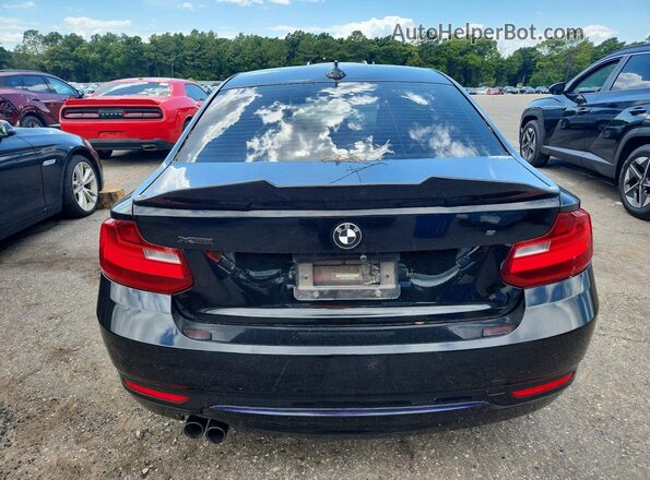 WBA1G9C54GV599622 2016 BMW 2 SERIES Black Rear view