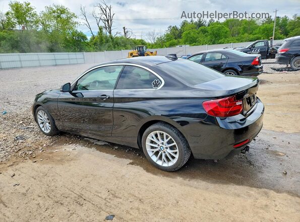 WBA1G9C54GV726580 2016 BMW 2 SERIES Black Rear left