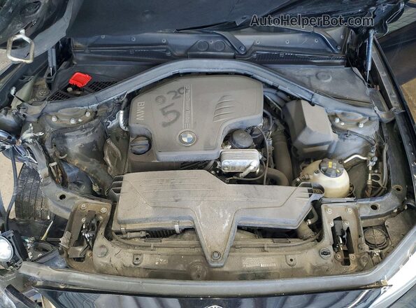 WBA1G9C54GV726630 2016 BMW 2 SERIES Черный Вид задней части салона
