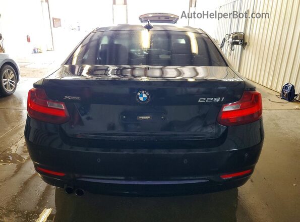 WBA1G9C54GV726630 2016 BMW 2 SERIES Черный Вид сзади