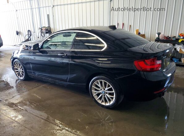 WBA1G9C54GV726630 2016 BMW 2 SERIES Черный Задняя левая четверть