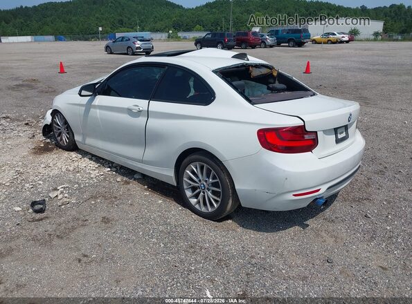 WBA1G9C58GV598750 2016 BMW 2 SERIES Белый Задняя левая четверть