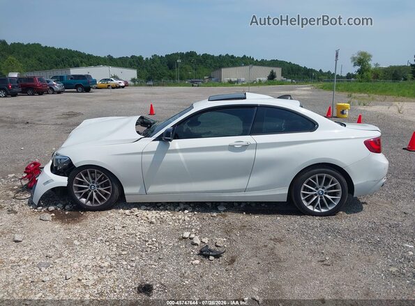WBA1G9C58GV598750 2016 BMW 2 SERIES Белый 