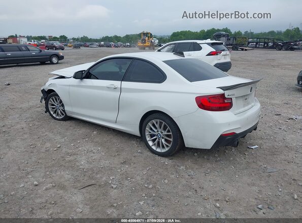 WBA1J7C56GV359879 2016 BMW M2 White Հետևի ձախ