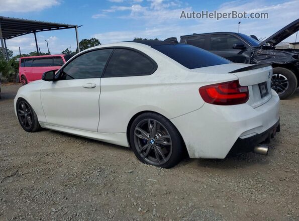 WBA1J7C5XGV289898 2016 BMW M2 Белый Задняя левая четверть