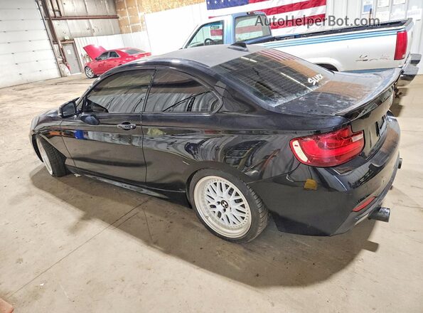 WBA1J9C52GV696397 2016 BMW M2 Black Tył lewy
