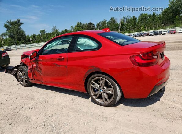 WBA1J9C53GV696473 2016 BMW M2 Red Tył lewy