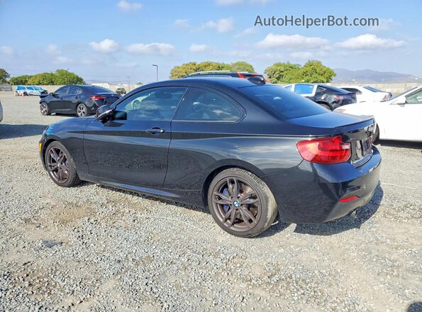 WBA1J9C58GV696629 2016 BMW M2 Black Trasero izquierdo