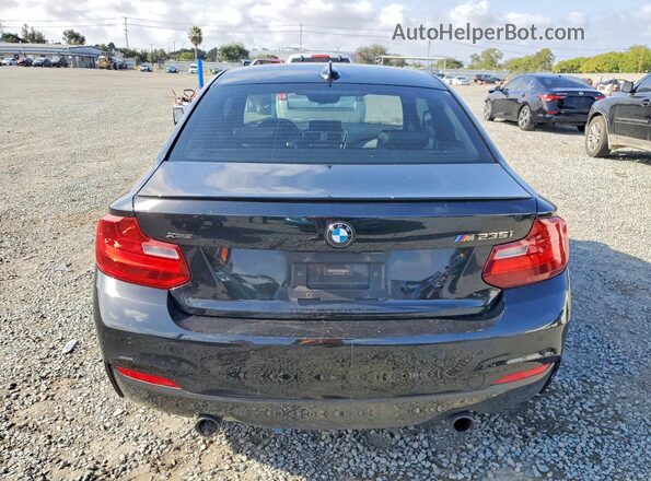 WBA1J9C58GV696629 2016 BMW M2 Black Vista trasera