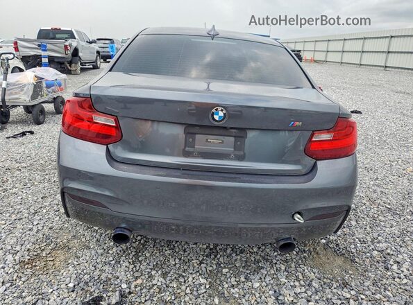 WBA1J9C59GV696185 2016 BMW M2 Charcoal უკანა ხედი