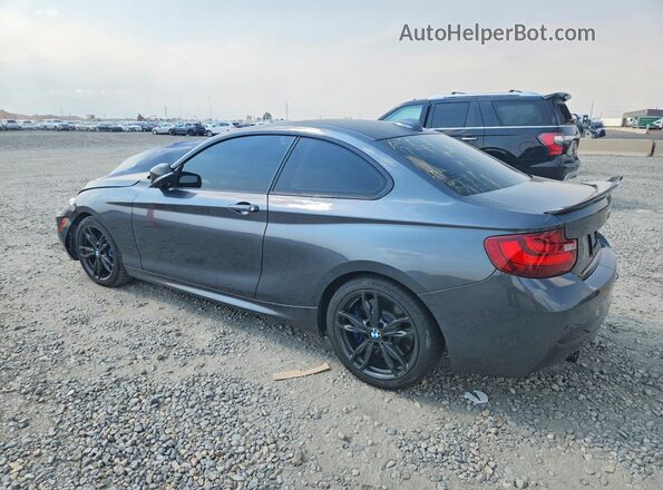 WBA1J9C5XGV696406 2016 BMW M2 Gray Tył lewy