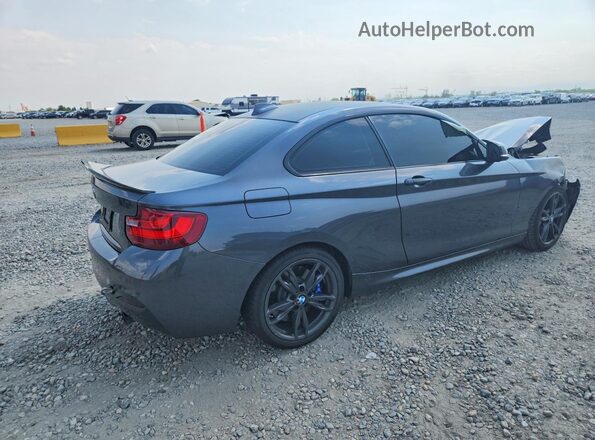 WBA1J9C5XGV696406 2016 BMW M2 Gray Tył prawy