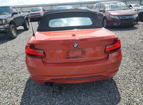 WBA1K9C52GV322367 2016 BMW 2 SERIES Оранжевый Вид сзади